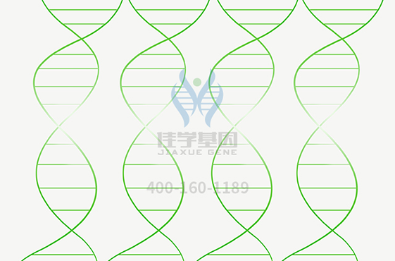 【佳学基因-基因检测】神经纤维瘤导致双胞胎哥哥越长越畸形，弟弟越长越帅